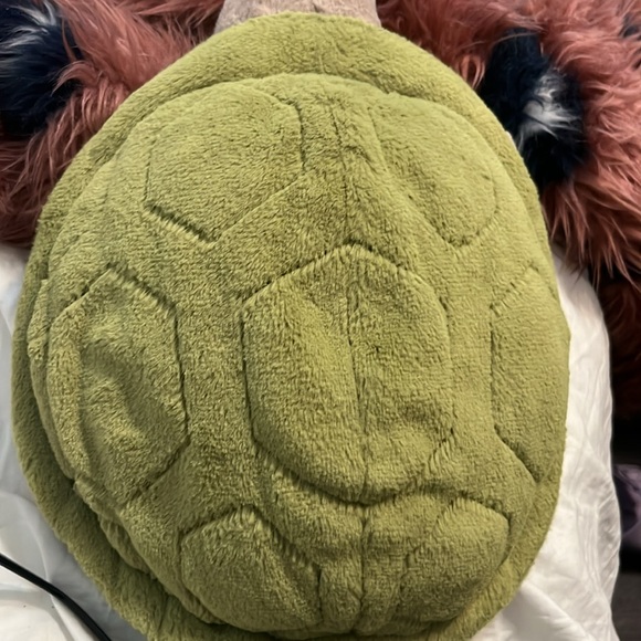 Timmy Turtle - Picture 3 of 4